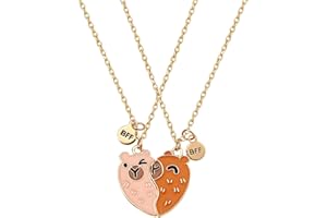 FloralGrace 2 Stück Capybara Freundschaftskette, Capibara Freundschaftsketten für 2 mädchen, Beste Freundinnen Halskette BFF Herz Hände Passende Ketten, Capybara Anhänger