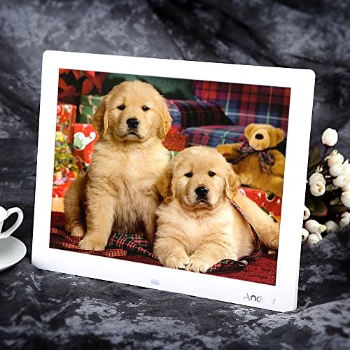 15'' hd tft-lcd 1024*768 marcos digital de fotos mp3 mp4 movie player con escritorio remoto