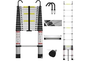 LUCN Escalera telescópica extensible de 4,4 metros de acero inoxidable con 2 ganchos, patas de goma antideslizantes, versátil y plegable