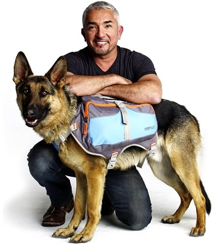 Livecity Hunde-Rucksack – Verstellbare Satteltasche Für Mittelgroße Und Große Hunde
