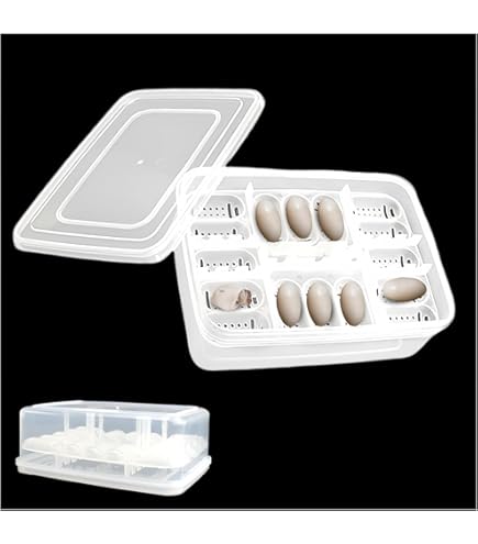 Scatola Incubatrice Per Uova Di Rettili - 16 Scomparti Trasparenti Per Allevamento - Foto 2