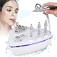 R A Products Microdermabrasion Machine with Spray Gun, Professional Home Use Facial Beauty Salon Equipment Strong Suction Power 65-68cmhg