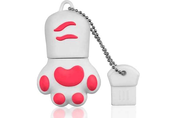 Clé USB 128Go, Clef USB 2.0 Pattes de Chat Flash Drive 128 Go Pendrive Cartoon Lovely Mémoire Stick pour PC, Tablette, Cadeau (Blanc)