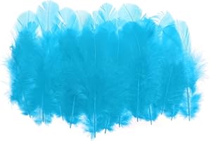 PATIKIL 1.5-3 Inch Saddle Hackle Rooster Feather, 300 Pcs Bulk Natural Feathers Fluffy Craft Feathers for Dream Catcher Earrings Pendant, Lake Blue