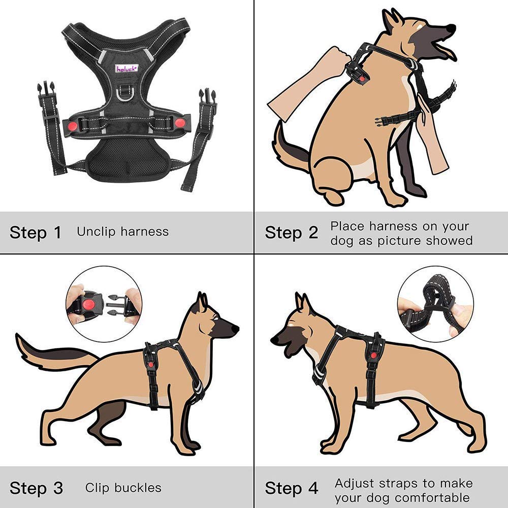 holuck dog harness