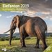 Elefanten 2019, Wandkalender / Broschürenkalender im Hochformat (aufgeklappt 30x60 cm) - Geschenk-Kalender mit Monatskalendarium zum Eintragen by 