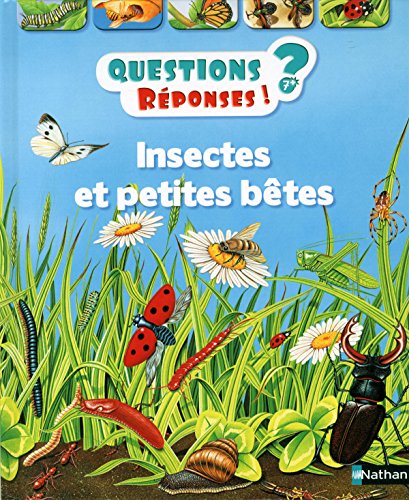 Insectes et petites bêtes