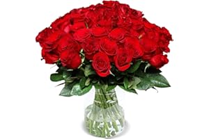 Blume Ideal Rosenstrauß - 40 Rosen - Rot - Ø 40–50 cm - Echte premium Blumen für Hochzeit & Deko - 7 Tage Frischegarantie - in verschiedenen Farben und Mengen