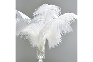 Dinghaole 10 Stück weiße Straußenfedern,25-30cm Natürliche Straußenfedern,Weich Federn Weiss,dekorative Federn,Tischdeko Hochzeit Party Fest Hüte Kleidung Dekoration,Strauß Feder zum Basteln