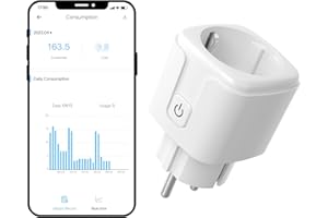 WOOLLEY Presa Smart Alexa 16A, Presa Wifi Smart Plug con Monitoraggio dell'alimentazione, Presa Intelligente Funziona con Alexa/Google Home e APP eWelink, con Timer, Telecomando, Controllo Vocale