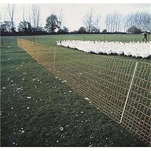 Göbel Weidezaun Elektrozaun Euro Netz Geflügel 25m lang 112cm hoch 9 Pfähle Doppelspitze enge Maschen