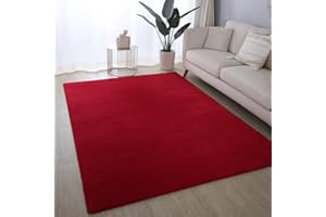 VICEROY BEDDING Ultra Soft Plush Anti-Slip Carpet Mat Living Room Large Area Rugs Modern Floor Bedroom Extra Large Size Non Shedding (Red, 120 x 170 cm)