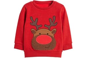 EULLA Boys Christmas Jumper Reindeer Sweatshirt Gift Kids Long Sleeve Dinosaur Tee Shirt Tops Crew Neck Pullover Hoodies Casual Outfit Clothes Age 1-7 Years