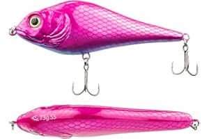 FISHN JERKYONE Jerkbait - Poids: 73g - Longueur: 15cm, Leurres artificiels, Leurres de pêche pour la pêche de Poissons prédateurs tels Que Le brochet, la Perche, la Truite, la Perche