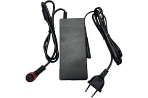 ausom Chargeur DT2 Pro, SR1