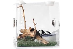Niktule 1 Stück Reptilienfutterbox Aufzuchtbehälter - Acryl kriechende Haustieraufzuchtbox - Transparente Aufbewahrung für Lebendfutter - Insektenbetrachtungsbox - für Spinnen, Grillen, Schnecken