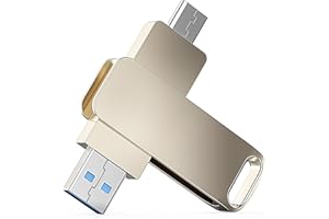 GAIN 2 in 1 USB Memory Stick with Type-C and USB Connectors, Swivel Design 1T USB Flash Drive Fast Transfer Speeds, for Computer, Smartphones, Laptop, TV, Car and More