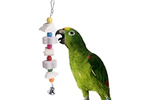 Ogquaton Jouet à mâcher en Pierre de Calcium pour Perroquet