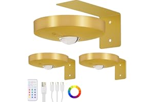 Lightess 3 Pack Picture Lights for Wall Rechargeable with Remote 13 RGB Picture Frame Light LED Wall Lights Dimmable Timer&Touch Control Magnetic Battery Operated Spot Light,Gold
