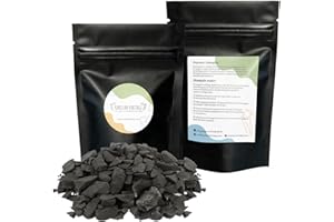 Karelian Heritage Pierres de shungite brutes pour purification et filtration de l'eau 0,2 kg | Cristal brut de guérison avec propriétés antioxydantes | Pierres de shungite naturelles et authentiques