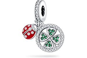Jokmeo Ciondolo charm in argento 925 puro, compatibile con bracciali e collari della marca Pandora e di stile europeo. Adatto a donne e ragazze.T3