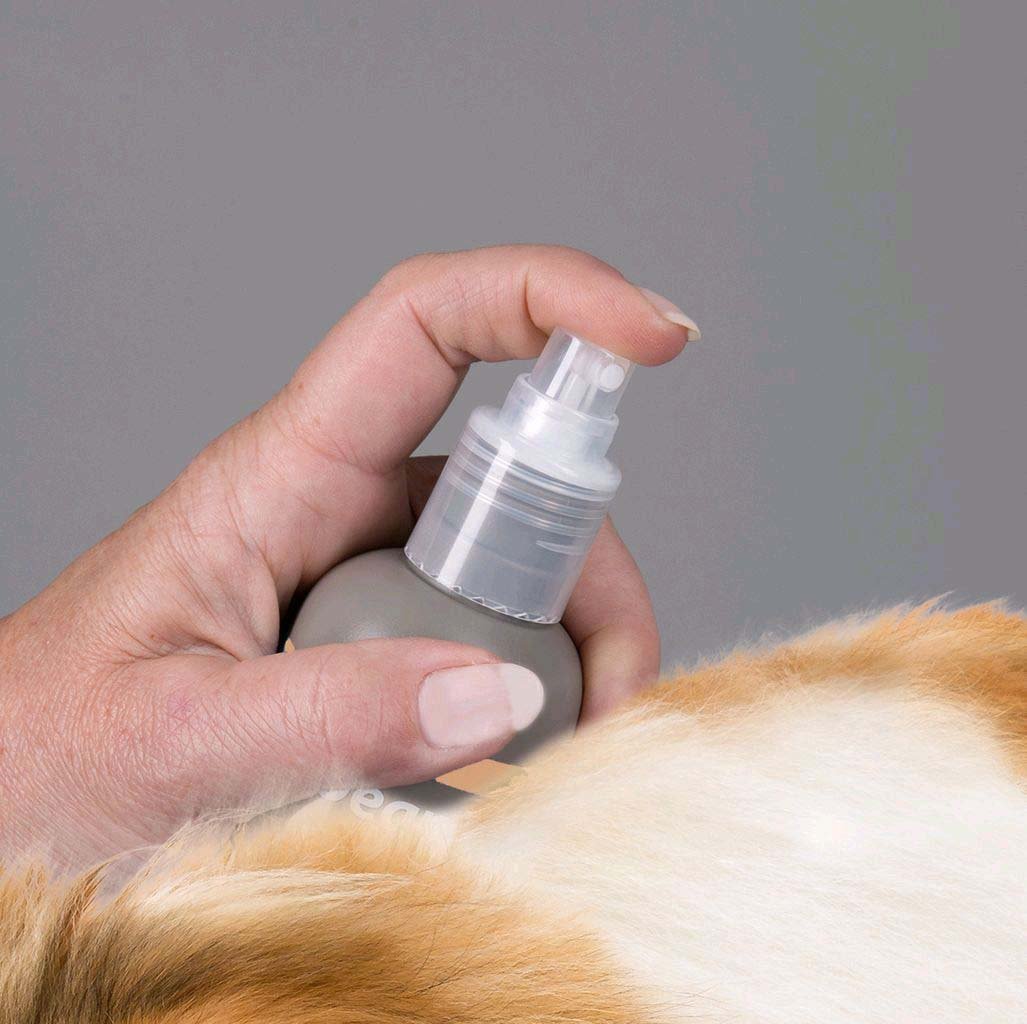 Le Reporter Sablais Beaphar Spray Shampoing Sec Ultra Doux Pour Chien Extraits Naturels D Aloe Vera Et De L Eau De Framboise Fortifie Le Reporter Sablais Beaphar Spray Shampoing Sec Ultra Doux Pour Chien Extraits Naturels D Aloe Vera Et De L Eau De Framboise Fortifie