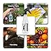 Anself 390ml Hairdressing Spray Bottle Mist Sprayer Hairdressing Tool