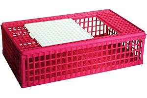 HORIZONT CHICK'A Caisse de Transport pour volaille, en Plastique, 1 Porte