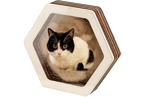 PH PandaHall Minneslåda för husdjurshår 9,7 x 10,9 cm trä minneslåda hexagon mops hund hår minnessakslådor husdjur päls gåvor för hund katt minneslådor för husdjursälskare familj vänner som förvarar