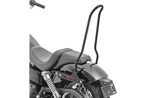 Sissy Bar pour Harley Dyna Street Bob/Low Rider S 09-17 Craftride Tampa