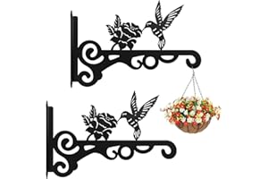 EMAGEREN 2 Pcs Suspension Plante Extérieur, Crochet Pot de Fleur Suspendu Fer Forgé, Support Mural Pot de Fleur, Crochet Suspension Plante en Forme de Rose et Oiseau, pour Lanterne Mangeoire à Oiseaux