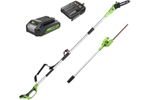 Greenworks G24PSHK2 Sega ad Asta e Tagliasiepi ad Asta 2 in 1 a Batteria, con Tracolla, Barra della Sega ad Asta 20cm, Lame Tagliasiepi ad Asta a Doppia Azione 51cm, Batteria 24V 2Ah e Caricabatterie