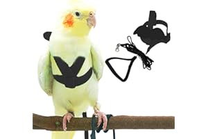 DNOIFNE Pet Parrot Bird Harness and Leash, Adjustable Training Design Anti-Bite, Bird Nylon Rope with Cute Wing for Parrots, Suitable for Alexandrine, Scarlet, Keck, Mini Macaw and Same Size Birds (Black)