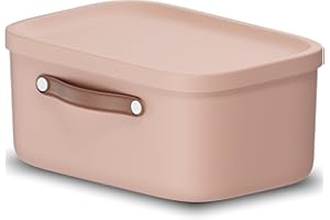 Rotho Maloja Scatola di stoccaggio 12 l, Plastica (PP riciclato), 12 (39.5 x 26.5 x 17.7 cm)