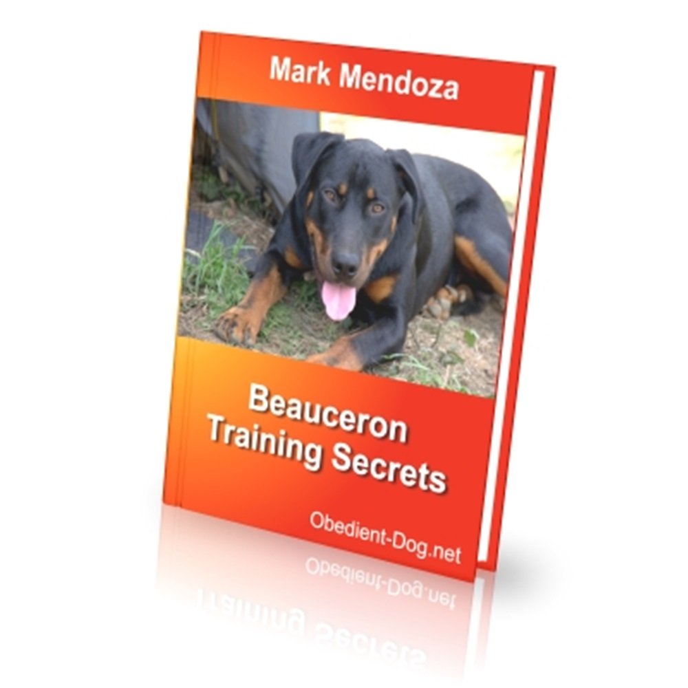 Beauceron Training Secrets Dogs.co.uk