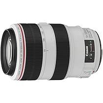 ◾️完動品 Canon EF 70-300mm F4-5.6 IS USM Canon EF 70-300mm f/4-5.6L is USM : Canon: Amazon.fr: High-Tech
