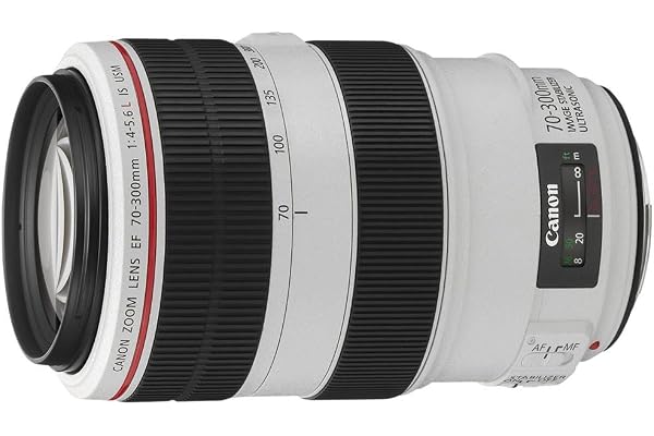 Canon EF 70-300mm f/4-5.6L is USM