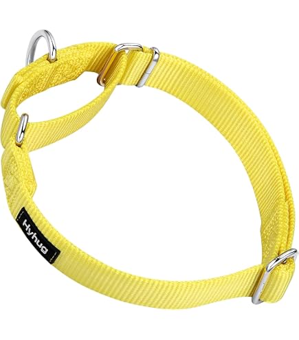 Dazzber Martingal-Halsband Für Hunde – Verstellbar, Weich, 1,5 Cm Breit, Für Große & Kleine Hunde