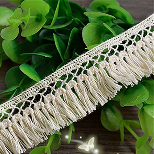 Beige 5 Yards Grace Fringe Cotton Ribbon Lace Trim Fabric Ribbon Bridal Veils Craft Lace 1 Inches Wide by Beautiful By Design