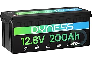 Dyness Batterie Lithium 12V 200Ah LiFePO4 avec BMS 200A intégré et Protection Basse Température, 2560Wh pour Camping-Car/Marin à Décharge Profonde, Solaire, Aventure/Van, Hors-Réseau