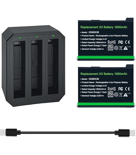PATONA Caricabatteria Doppio, Micro-USB & USB-C Input compatibile con Insta360 X3 CINAQBT/A Action Cam