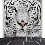 papel pintado tigres De alta calidad, papel satinado Afiche, presión sellado protege contra rayos UV, por lo que no pierde