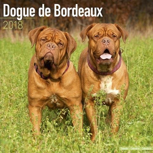 Preisvergleich Produktbild Dogue de Bordeaux Calendar 2018
