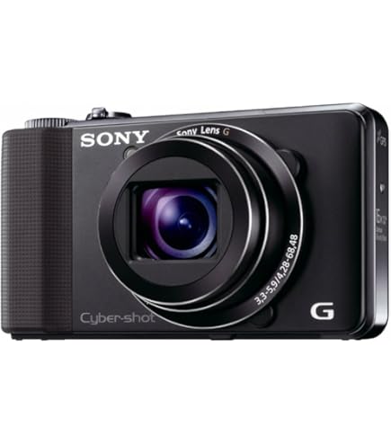 Sony Cyber-shot DSC-HX10V 18.2 MP Exmor R CMOS Digital Camera with