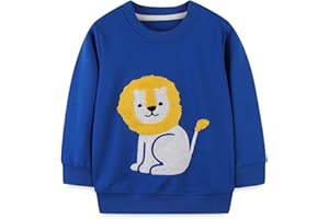 HIKIDS Niños Sudaderas Dinosaurio Suéteres para Niño Manga Larga Camiseta Cuello Redondo Ropa Niños Pequeños Tops de Invierno 2-7 Años