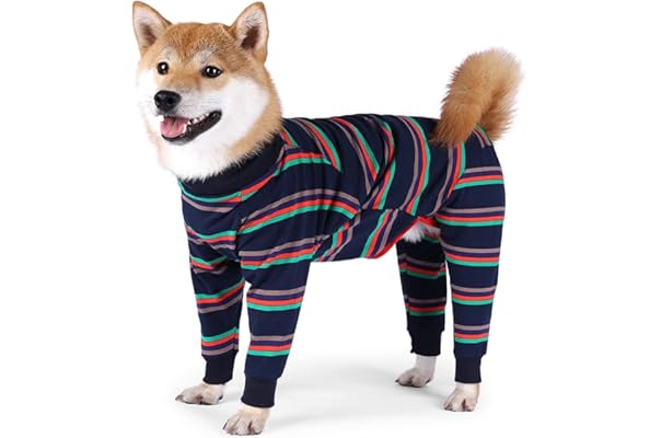 best dog apparel
