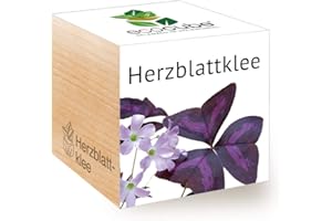 FEEL GREEN - WE CREATE NATURE Feel Green 296442 Ecocube Herzblattklee/Love Plant, Nachhaltige Geschenkidee (100% Eco Friendly), Grow Your Own/Anzuchtset, Pflanzen Im Holzwürfel, Made in Austria