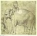 Produktbild Hanno Kompriband _ Elefant von Papst Leo X von Raffaello Digital Print Poster, 33.11 x 32.37 Inches