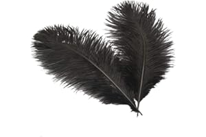 Sowder 6-8inch(15-20cm) Ostrich Feathers Plume for Wedding Centerpieces Home Decoration Pack of 10pcs(black)