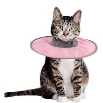 Collier Élisabéthain Pour Chat – Anti-Léchage, Taille Ajustable, Léger Et Confortable – Pour Plaies, Post-Opératoire